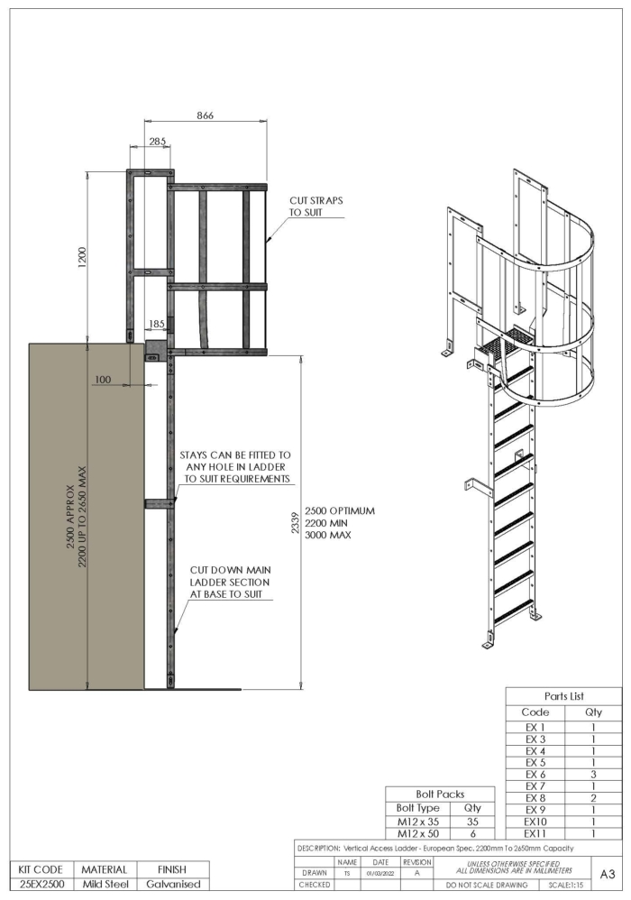 Verticial Access Ladder Kit – European Spec BS EN 131