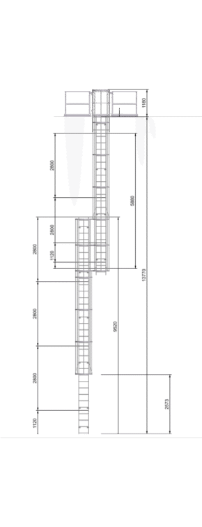 Bespoke or Custom Vertical Access Ladder