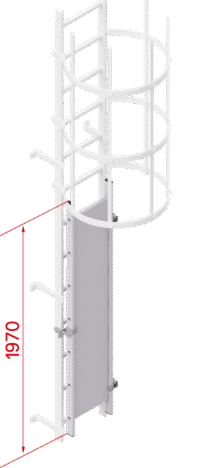 Bespoke or Custom Vertical Access Ladder